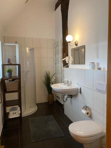 a bathroom with a toilet and a sink and a shower at Heuerhaus - Artlands Home- Landhaus für Familien und Gruppen in Badbergen