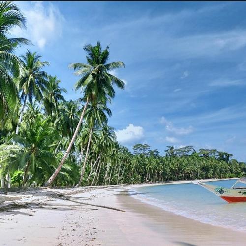un bateau assis sur une plage avec des palmiers dans l'établissement Port Barton Island Camping, à San Vicente