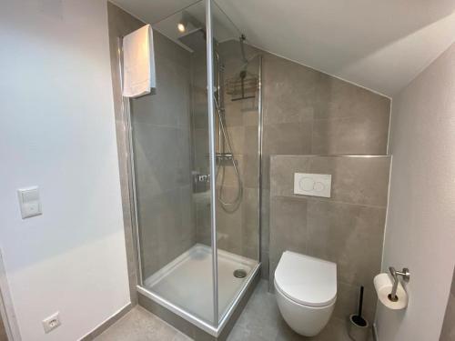 a bathroom with a glass shower with a toilet at Charmantes Apartment mit Balkon in Mindelheim