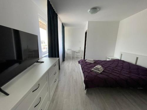 una camera con letto e TV a schermo piatto di EVA's Rooms a Târgu-Mureş