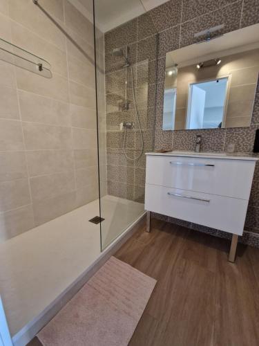 une salle de bain avec une douche, un lavabo et un miroir dans l'établissement Très belle marina plein sud, au Grau-du-Roi