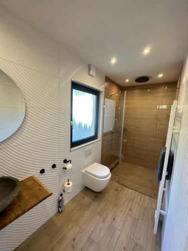 W łazience znajduje się toaleta i przeszklony prysznic. w obiekcie Relaxen am Waldesrand Fewo 1 w mieście Ahrbrück