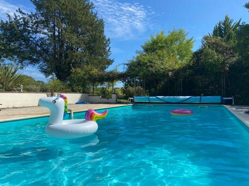 una piscina con un cisne de plástico y un frisbee en Plantivel en Allemans