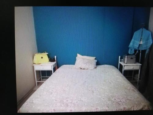 ein blaues Schlafzimmer mit einem Bett und zwei Nachttischen in der Unterkunft evren tepe in Konak