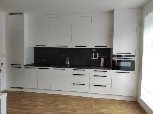 Kuchyň nebo kuchyňský kout v ubytování Apartmány Říčky