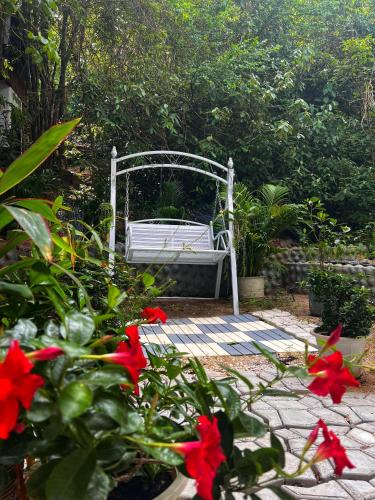 Сад в Wonderland Jungle Hostel