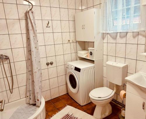 a bathroom with a toilet and a washing machine at Studio Apartman Iovia place in Ludbreg