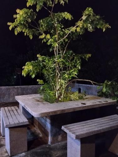Κήπος έξω από το Sinali Villa