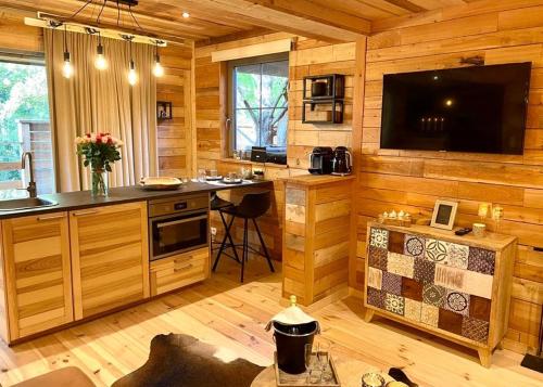 a kitchen with wooden walls and a television in a cabin at Le Sanglier Amoureux in Érezée