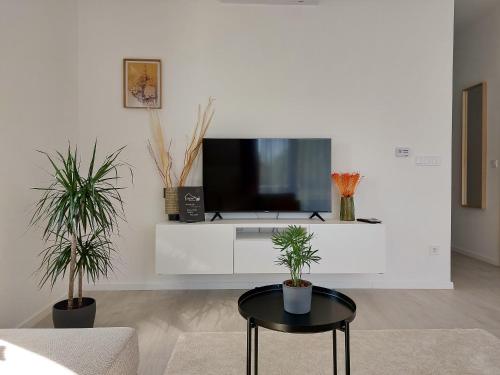a living room with a tv and two potted plants at Linden Apartman 106 - Adults Only in Mosonmagyaróvár