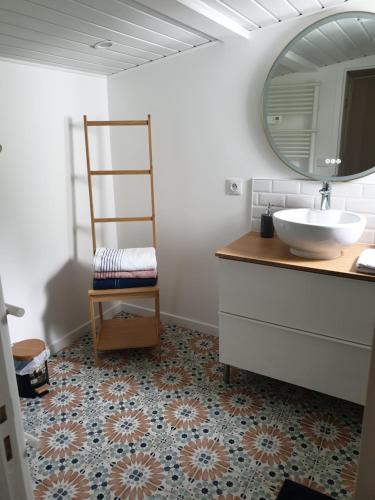 un bagno con lavandino e specchio di Maison bord de Marne 8min disneyland et val d'Europe a Chalifert