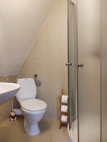 ポロニンにあるChatka Zuziaのバスルーム(トイレ、洗面台、シャワー付)