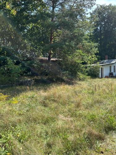 a field of grass with a house in the background at Simplest-Camping in Biesenthal