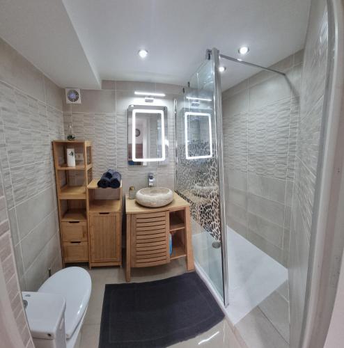une salle de bain avec une douche, des toilettes et un lavabo dans l'établissement Studio Arena - Groupama stadium Lyon, à Meyzieu