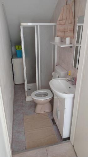 Kúpeľňa v ubytovaní Mali spas