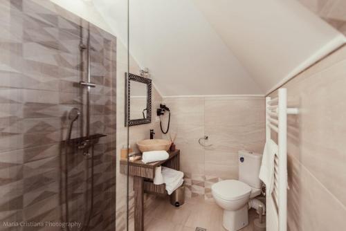 Un baño con inodoro, lavabo y ducha. en Poiana Verde Garden House, en Poiana Campina