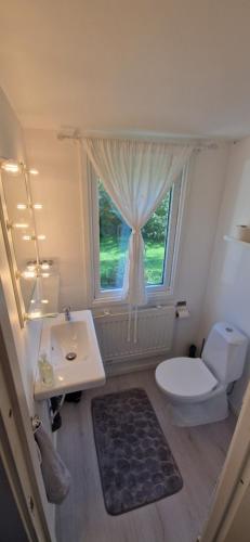 łazienka z umywalką, toaletą i oknem w obiekcie Humlebo w mieście Åsa