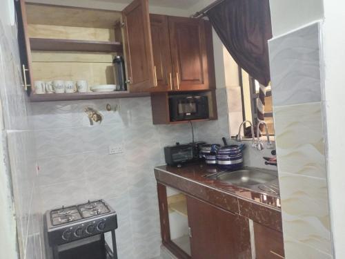 uma pequena cozinha com um lavatório e um micro-ondas em Kozi Luxury Apartment in Kisumu em Kisumu