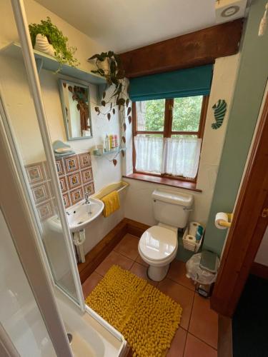 a small bathroom with a toilet and a sink at 2 Bryher Barn in Penzance