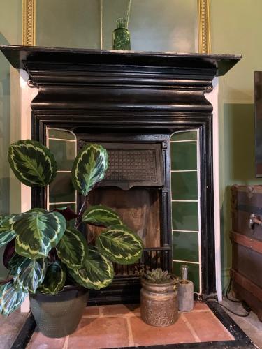a fireplace with a potted plant in front of it at Hidden gem in heart of Breckland in Watton