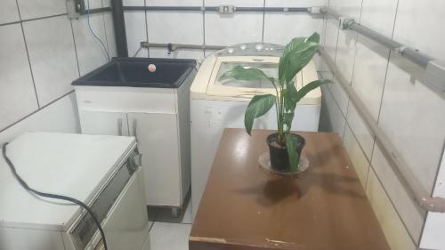 a plant in a pot on a table next to a washer at Pousada Boqueirão in Passo Fundo