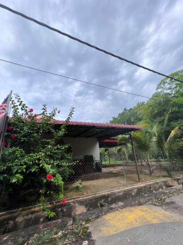una casa con techo rojo y algunas flores en Azlina Homestay Jerantut, en Jerantut