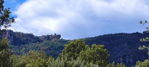 a castle on top of a hill with trees at El Racó dels Mussols 2 in Adri