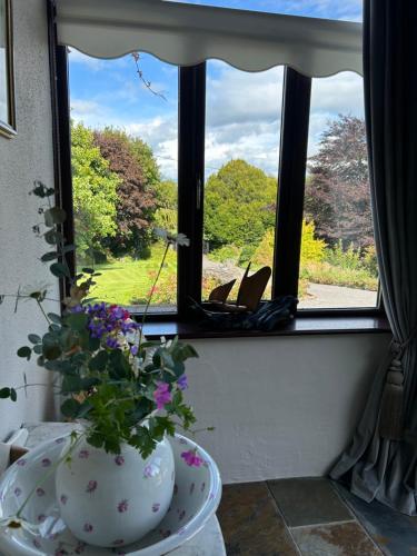 una ventana con un jarrón con flores en una habitación en Moyleroe Bridge, en Mullingar