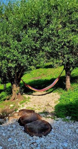 a dog laying on the ground next to a hammock between two trees at Racha Nanida in Agara