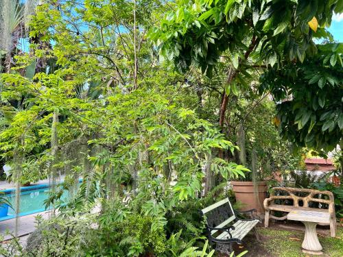Orchid Cottage – Photos 4