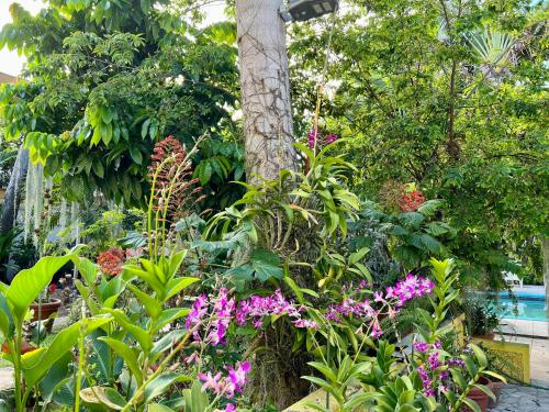 Orchid Cottage – Photos 3