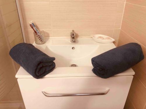 two towels sitting on top of a bathroom sink at Studio Le Mansart au pied du Château Insead in Fontainebleau
