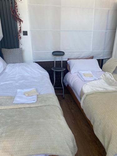 two beds sitting next to each other in a room at Studio with a hot tub and garden in East Barnet
