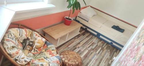 uma vista para uma sala de estar com um sofá e uma planta em Inessa center budget room em Chisinau