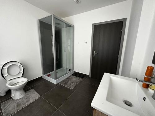 La salle de bains est pourvue de toilettes, d'un lavabo et d'une douche. dans l'établissement Grand Appartement cosy et lumineux, à Mons