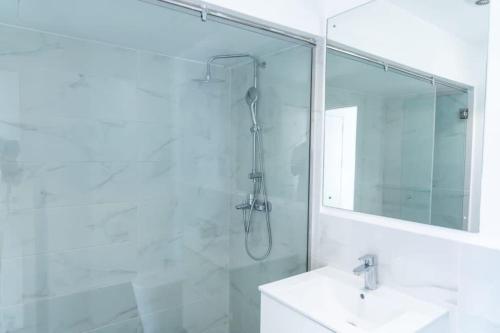 un bagno con doccia, lavandino e specchio di Exec 2 Bed Loft@Embassy Gardens a Cantonments