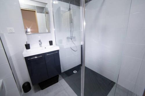 a bathroom with a shower and a sink and a mirror at L'Echo des Vagues in Le Havre