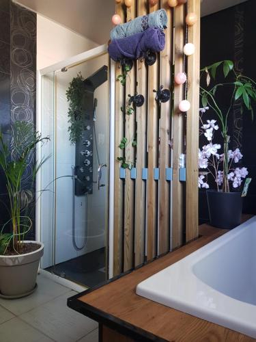 een badkamer met een douche met planten bij Appartement dans maison en RDC in Nègrepelisse