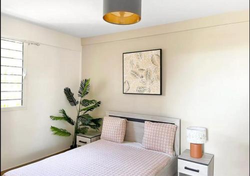 a bedroom with a bed and a potted plant at 42m2 neuf centre ville avec parking, balcon et sans coupure d'eau in Mamoudzou