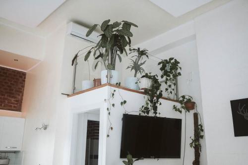 Luxury Loft - Milano Centrale