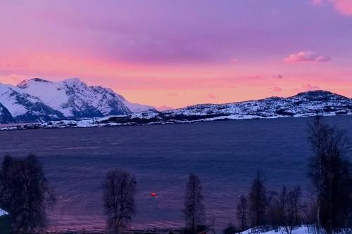 a view of a body of water with snow covered mountains at Hele utleiebolig Årøybuktneset in Lyngseidet