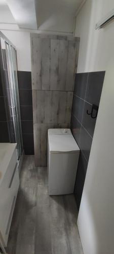 Elle comprend une petite salle de bains pourvue de toilettes. dans l'établissement Loft neuf 4 couchages Peone- Valberg, à Péone