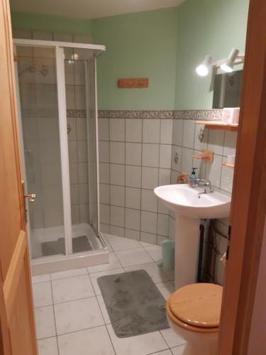 een badkamer met een douche, een wastafel en een toilet bij Les Angéliques in Gérardmer