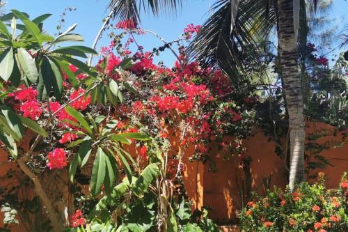 a garden with red flowers and palm trees at Charming blue house with kitchen parking and garden in Canoa Quebrada