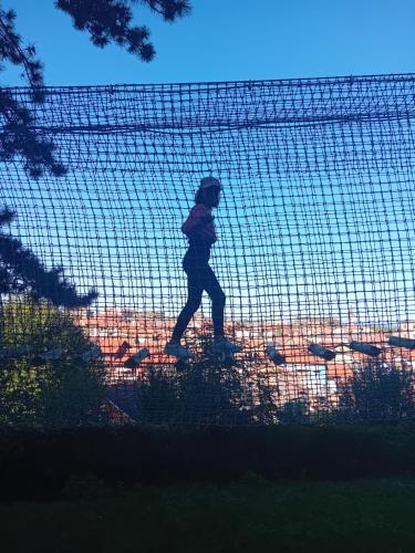 a person walking behind a fence with birds behind it at STARE BENE B&B in Bernezzo