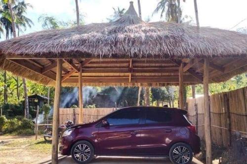 a purple car parked under a straw roof at Luxury Tiny Home with Free* Use of Tiny Car in El Nido