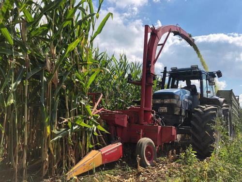 a tractor in a field of corn being pulled at Ferien auf dem Eliesenhof in Welzheim