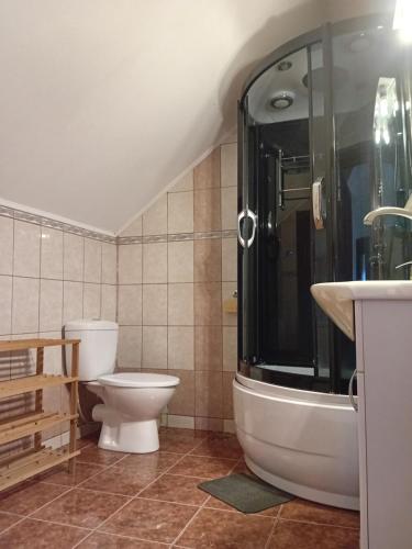 ein Bad mit einem WC, einer Dusche und einem Waschbecken in der Unterkunft PENSIUNEA BIO in Coltău