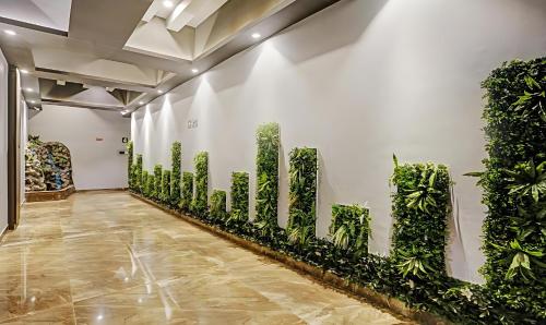 une rangée de plantes sur un mur dans une pièce dans l'établissement ZARA GRAND HOTEL, à Mumbai