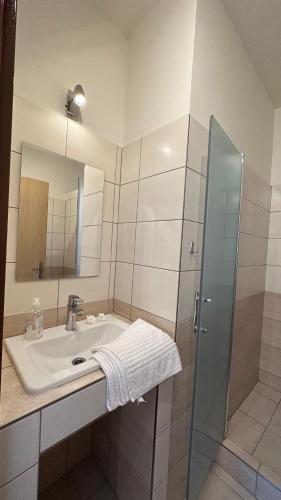 a bathroom with a sink and a shower at Penzion u Fouska in Chodov